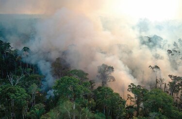 La Amazonía, un paraíso que está casi perdido