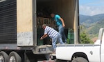 Productores envían más de 150 mil cajas de legumbres a todo el país