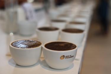 Café panameño alcanza los $18 mil por kilo y genera más de $3 millones en ventas en la subasta Best of Panama