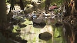 Río que brilla, río que muere