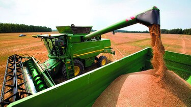 Rusia podría liderar exportación de trigo