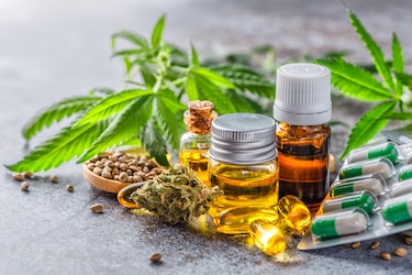 Los requisitos que deben cumplir las empresas que quieren poner a florecer el cannabis en el país