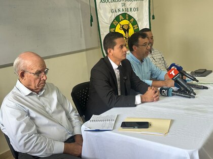 Sector lácteo panameño se organiza tras fallo de la OMC favorable a Costa Rica