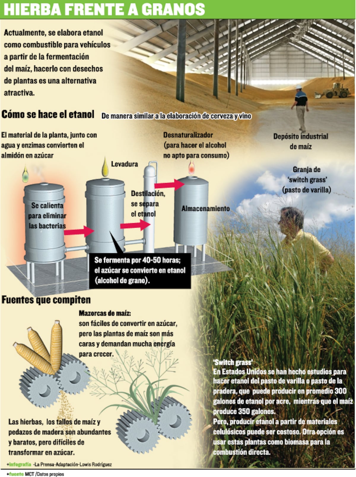 Paja canalera, fuente de energía | La Prensa Panamá