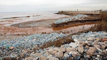 Humanos ingieren cada año decenas de miles de partículas de plástico