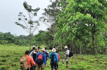 Ambientalistas piden condena por las 188 hectáreas deforestadas