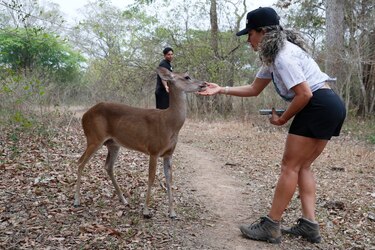 El Casanare busca cambiar hidrocarburos por turismo de naturaleza en Colombia