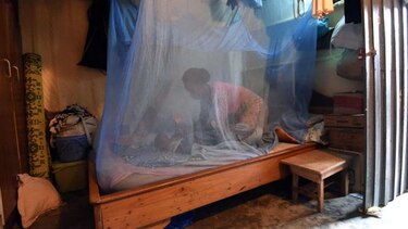 Hallazgo da esperanzas contra el virus zika