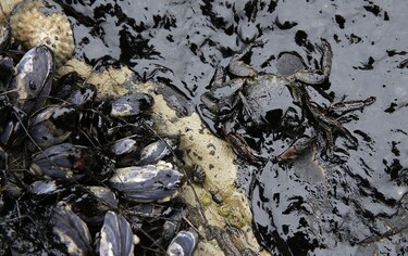 Hallar la causa del vertido de California podría tomar meses