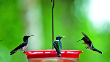 Aprendiendo sobre ambiente