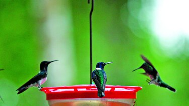 Aprendiendo sobre ambiente