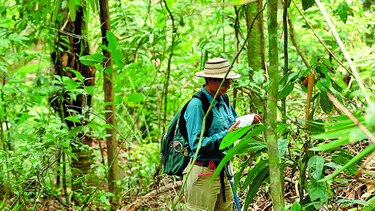 Autoridad de Turismo de Panamá capacitará a guías turísticos