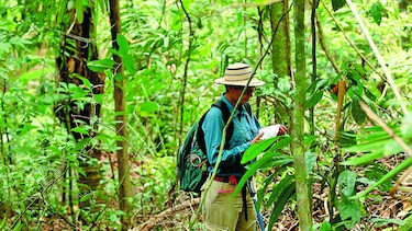 Autoridad de Turismo de Panamá capacitará a guías turísticos