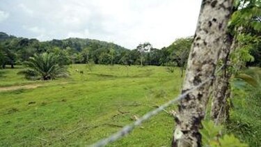 Estamos titulando a todos sin discriminación: Castillero