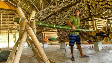 Cómo el bambú, usado durante milenios en Sudamérica, está revolucionando la construcción antisísmica