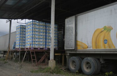 Exportaciones sumaron 467 millones de dólares entre enero y febrero