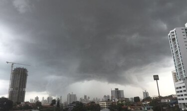 Fuerte viento deja 45 casas afectadas por caída de árboles en Panamá