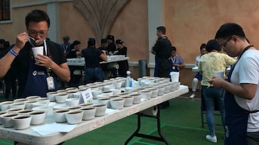 Anticipan récord en puntaje para el café geisha