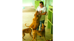 No existe el ‘perro de la calle’