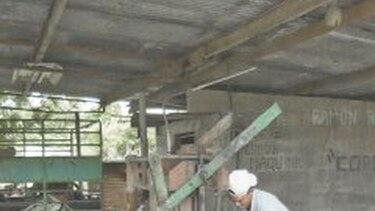 Representante de La Mesa, a juicio por delito ambiental