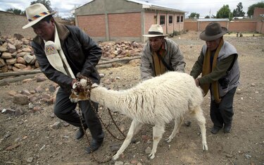 Primer gobierno autónomo indígena asume en  Bolivia