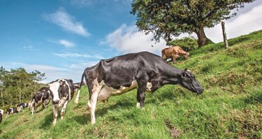 El  imparable motor de la agroindustria