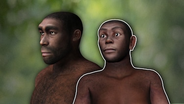 ¿Cómo serán los seres humanos del futuro?