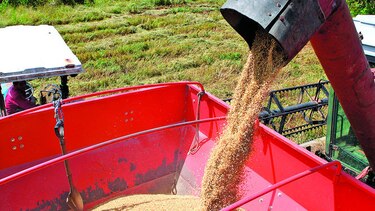 Subsidios acaparan los fondos del MIDA