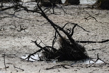 FAO y PMA instan a donar 202 millones de dólares para proteger a 22 países de El Niño