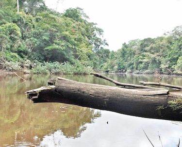 Paraíso acosado
