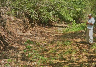 Más de 5 mil reses en Las Guabas no tienen agua en sus fincas