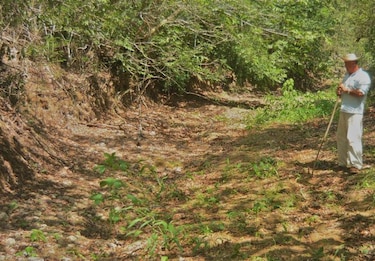 Más de 5 mil reses en Las Guabas no tienen agua en sus fincas