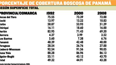Bosques, en riesgo