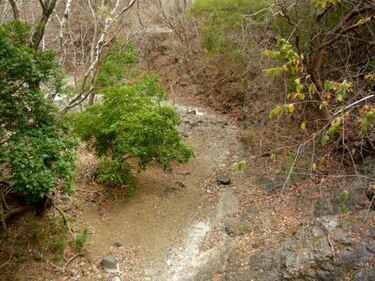 Productores santeños se quedan sin reservas de agua