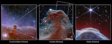 El telescopio James Webb capta la nebulosa ‘Cabeza de Caballo’ con un detalle sin precedentes