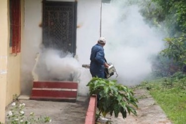 Virus chikungunya aparece en Arraiján