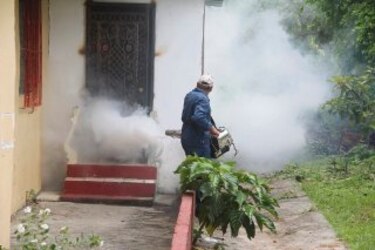 Virus chikungunya aparece en Arraiján