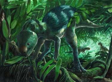 Hallan el dinosaurio ornitópodo más pequeño del mundo: medio metro y 125 millones de años