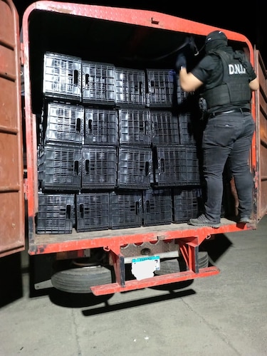 Veraguas: decomisan más de 450 paquetes de droga ocultos en un camión
