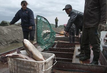 Viceministro peruano insta a mayor cooperación en Latinoamérica para frenar la pesca ilegal