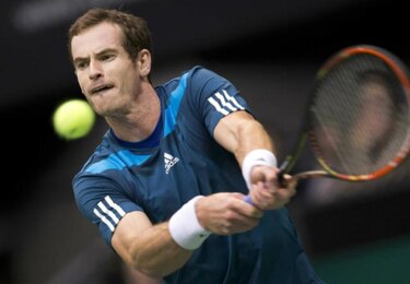 Del Potro y Murray avanzan en torneo de Rotterdam