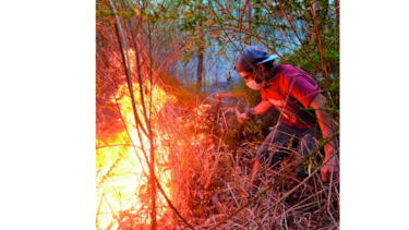 Más de 40 detenidos por masivos incendios en Chile