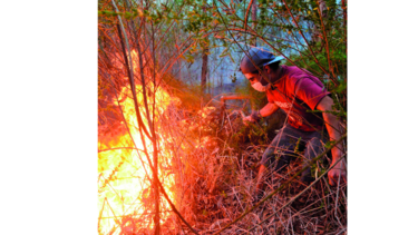Más de 40 detenidos por masivos incendios en Chile