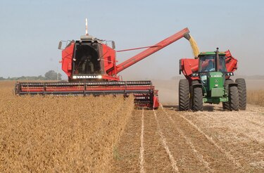 Argentina exporta granos por 40,238 millones de dólares durante 2022
