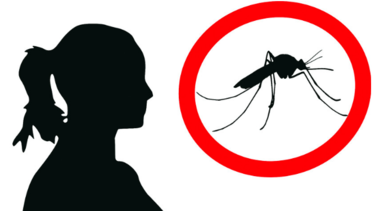 La batalla contra los mosquitos