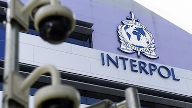 Interpol detiene 57 fugitivos extranjeros en República Dominicana