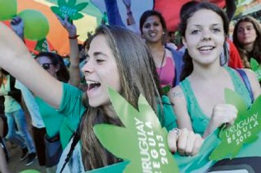 Se interesan en investigar cannabis uruguaya