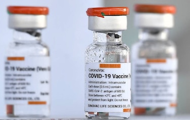 Vacuna CoronaVac reduce mortalidad por Covid-19 en 97% contra 80% de Pfizer, según estudio