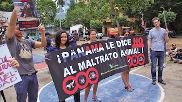 Reforma endurece penas por maltrato a animales