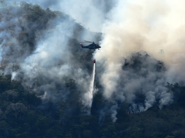 Bomberos requirieron cerca de 10 horas para controlar el incendio en isla Taboga